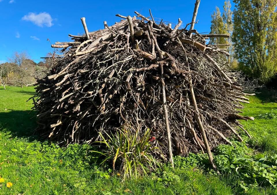 Are people more likely to adopt small ecological actions than one large lifestyle change?