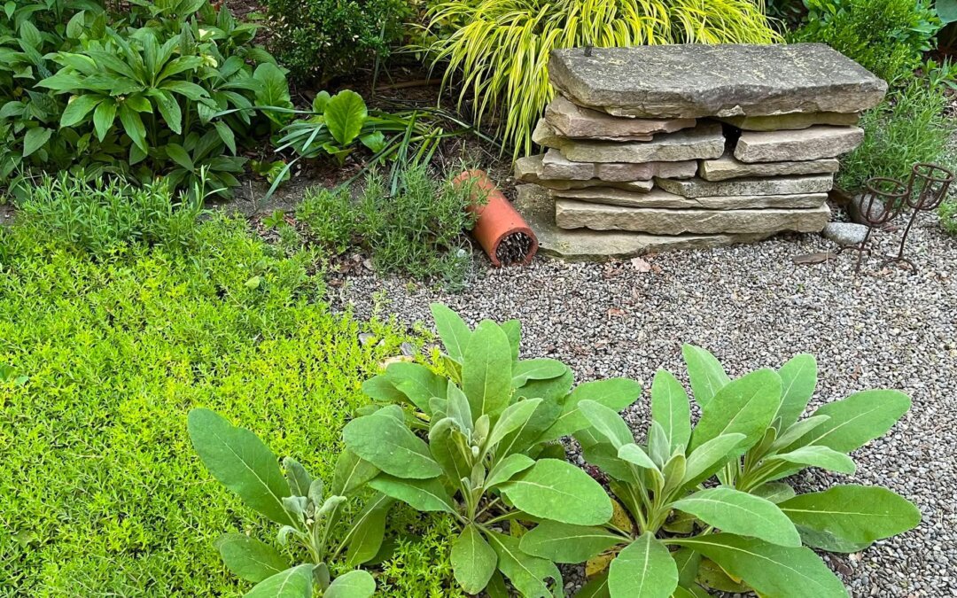 Commercialisation of ecological gardening.